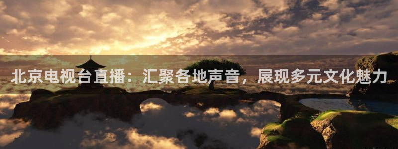 9255tv直播nba在线观看：北京电视台直播：汇聚各地声音，展现多元文化魅力