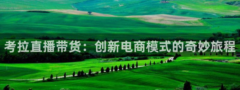 9255tv直播无插件nba：考拉直播带货：创新电商模式的奇妙旅程