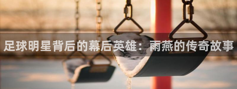 9255tv直播nba在线观看：足球明星背后的幕后英雄：雨燕的传奇故事