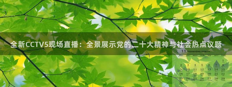 9255tv直播nba在线观看：全新CCTV5现场直播：全景展示党的二十大精神与社会热点议题