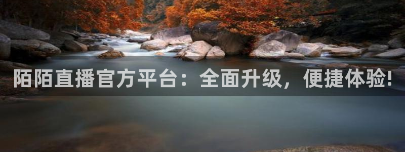 9255tv直播nba在线直播：陌陌直播官方平台：全面升级，便捷体验!