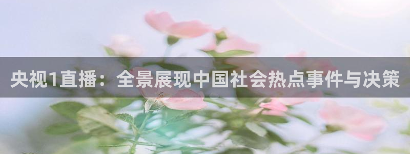 9255tv直播nba在线观看：央视1直播：全景展现中国社会热点事件与决策
