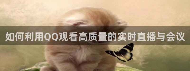 9255tv直播nba在线观看：如何利用QQ观看高质量的实时直播与会议